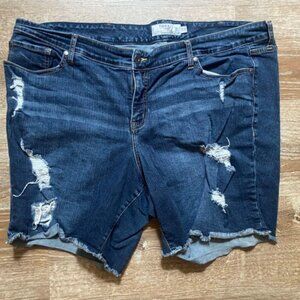 Torrid size 24 Distressed Denim Shorts